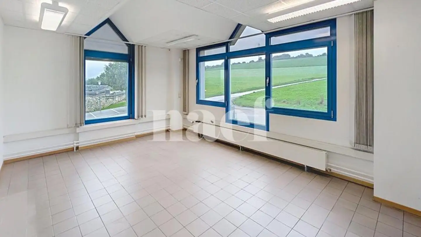 Mischgenutztes Gebäude mieten - Chemin Du Pétrole 2, 1436 Treycovagnes - Foto 4