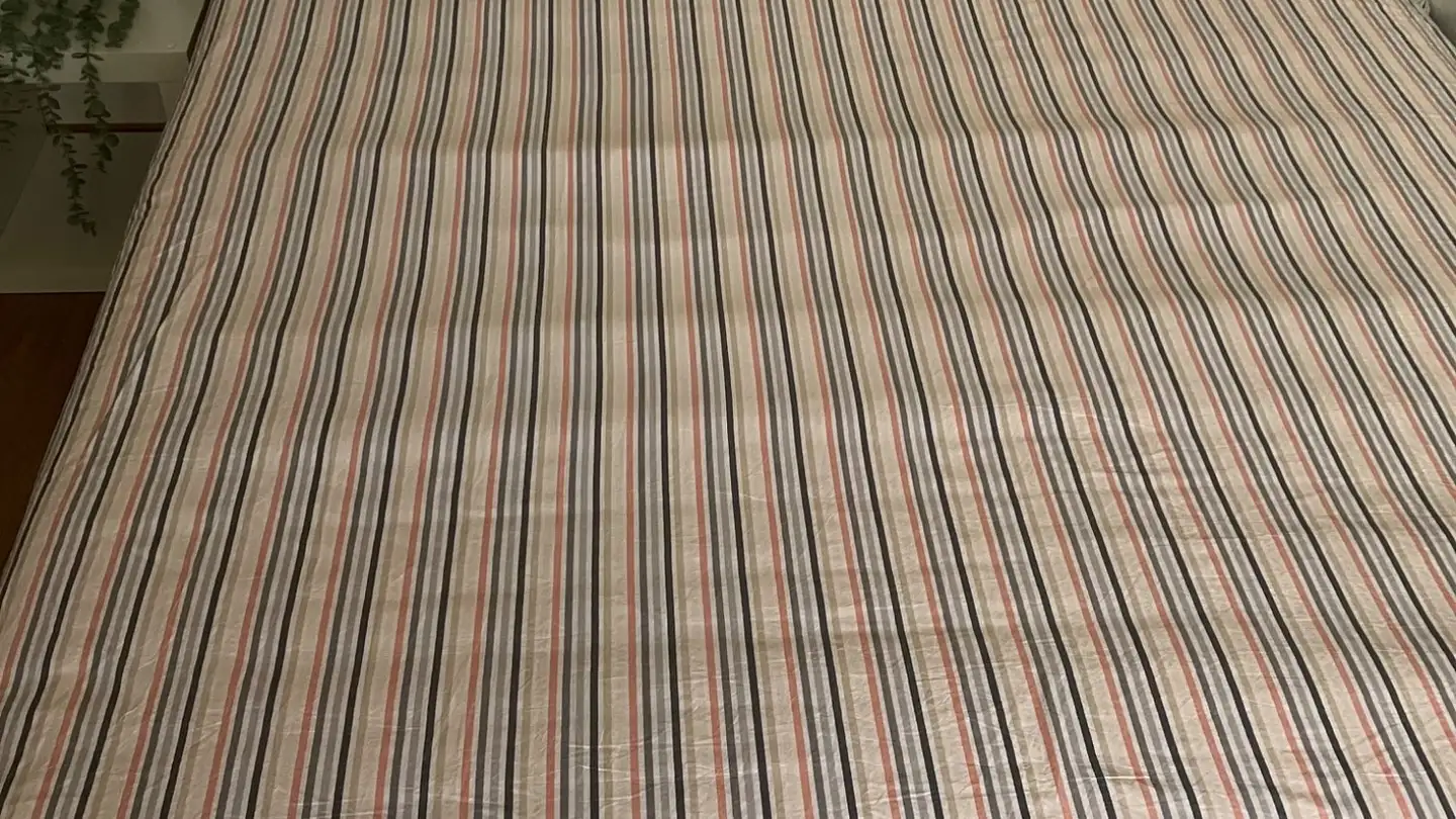 Appartement à louer - 8800 Thalwil