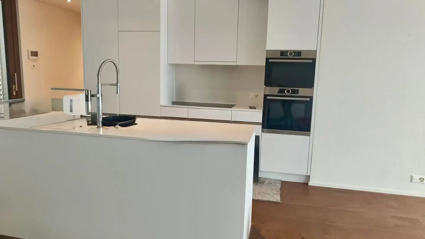 Appartement en terrasse à louer - Im Kessler 5, 8902 Urdorf - Photo 4