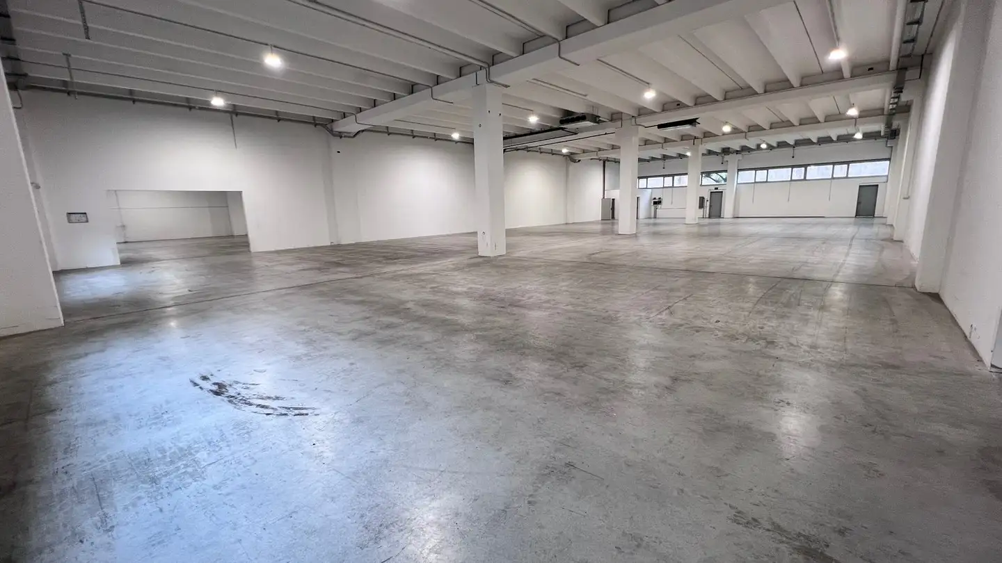 Spazio di archiviazione in affitto - Via Sceresa 6, 6805 Mezzovico - Photo 3