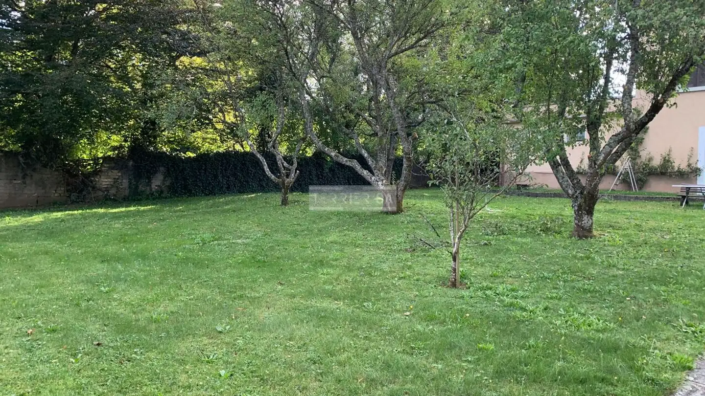 Residential building for sale - Rue Des Tilleuls, 2206 Les Geneveys-sur-Coffrane - Photo 4