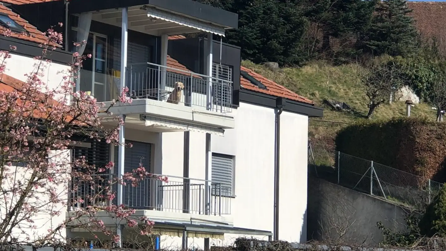 Apartment for sale - Freiburgstrasse 103, 3174 Thörishaus