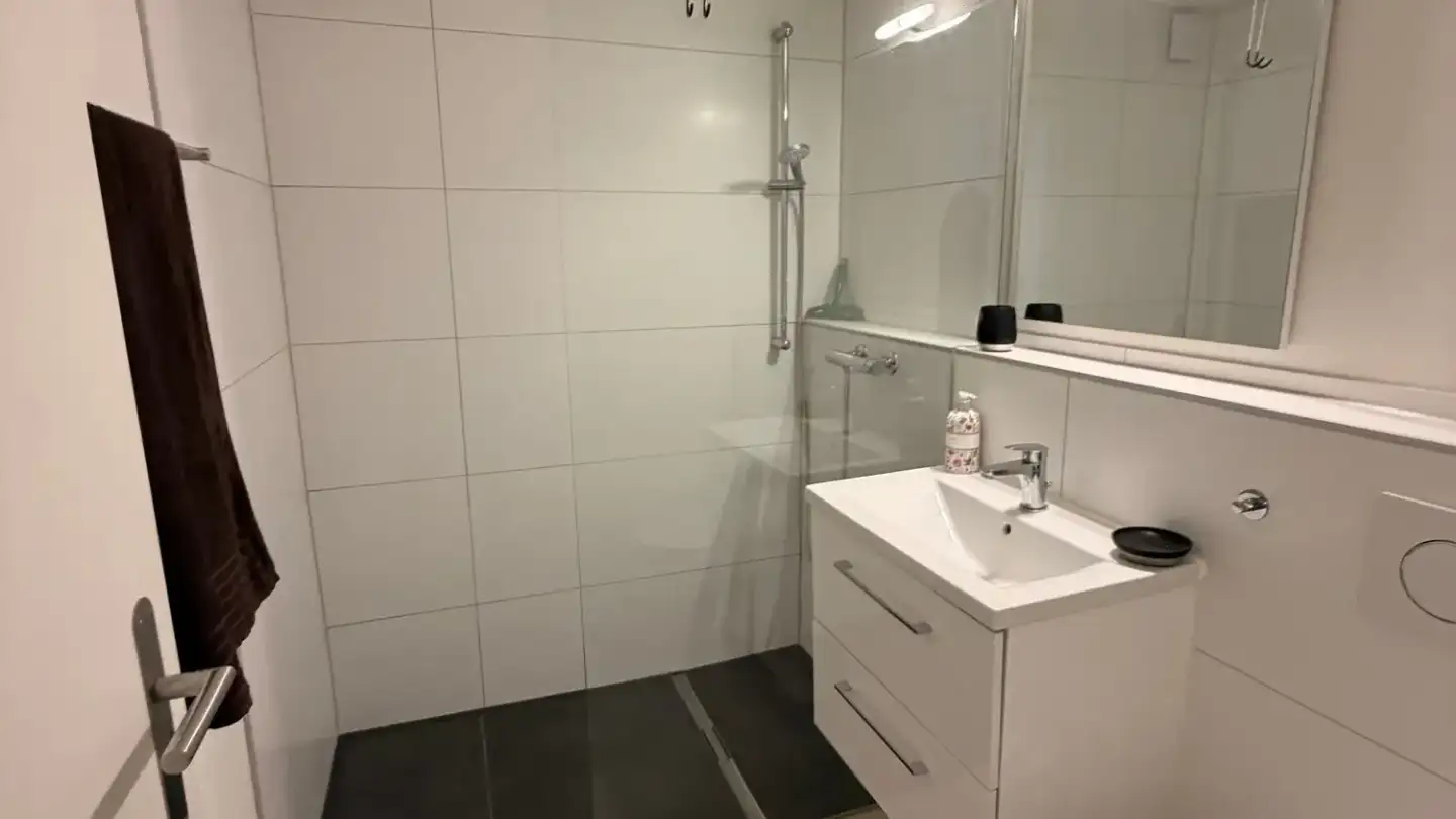 Single house for rent - Шульштрассе көчөсү 18, 4315 Zuzgen - Photo 3