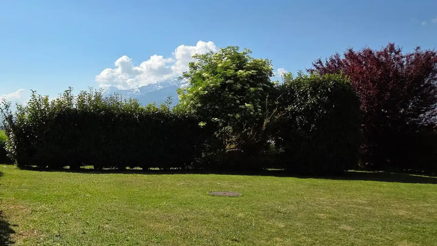 Appartamento in vendita - 1860 Aigle - Foto 3