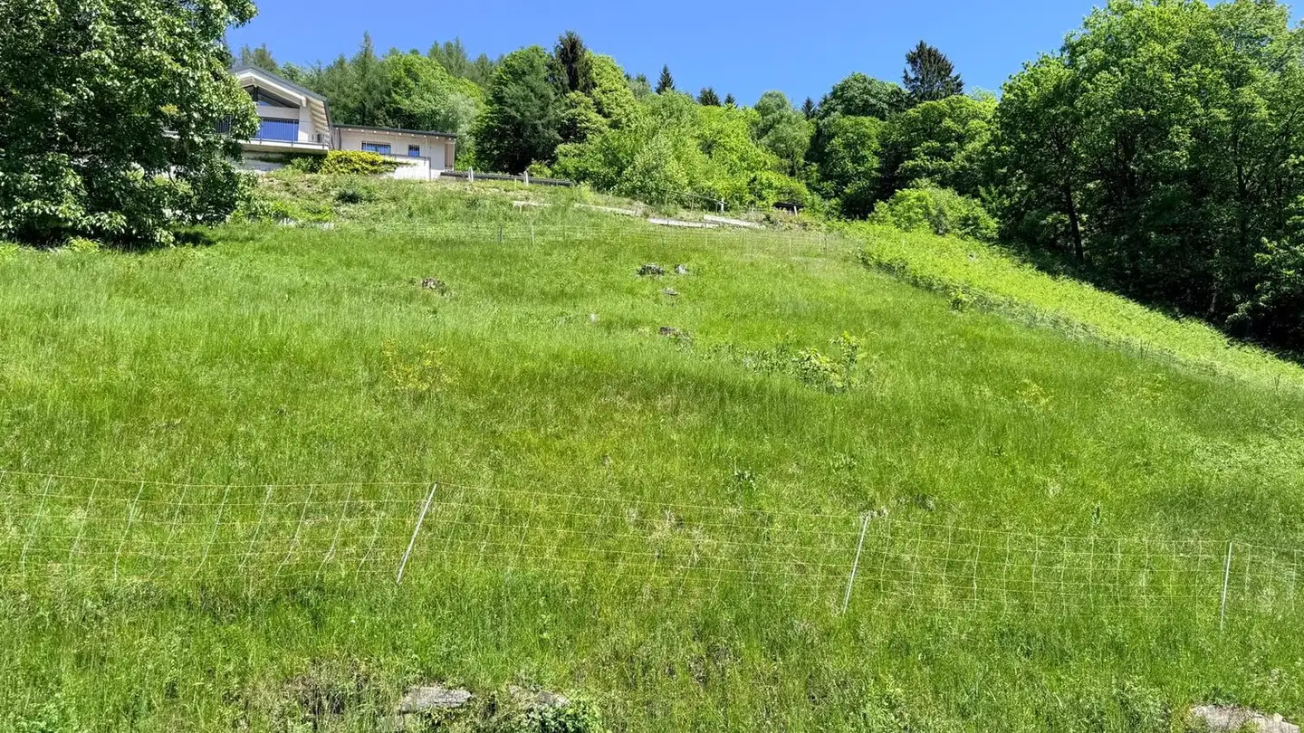 Terrain constructible à vendre - 6994 Aranno