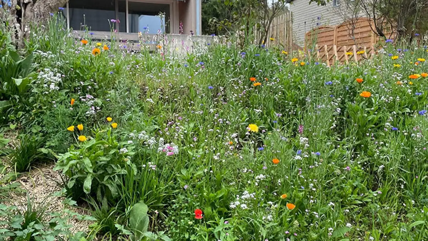 Wohnung mieten - Birkenweg 7, 3045 Meikirch