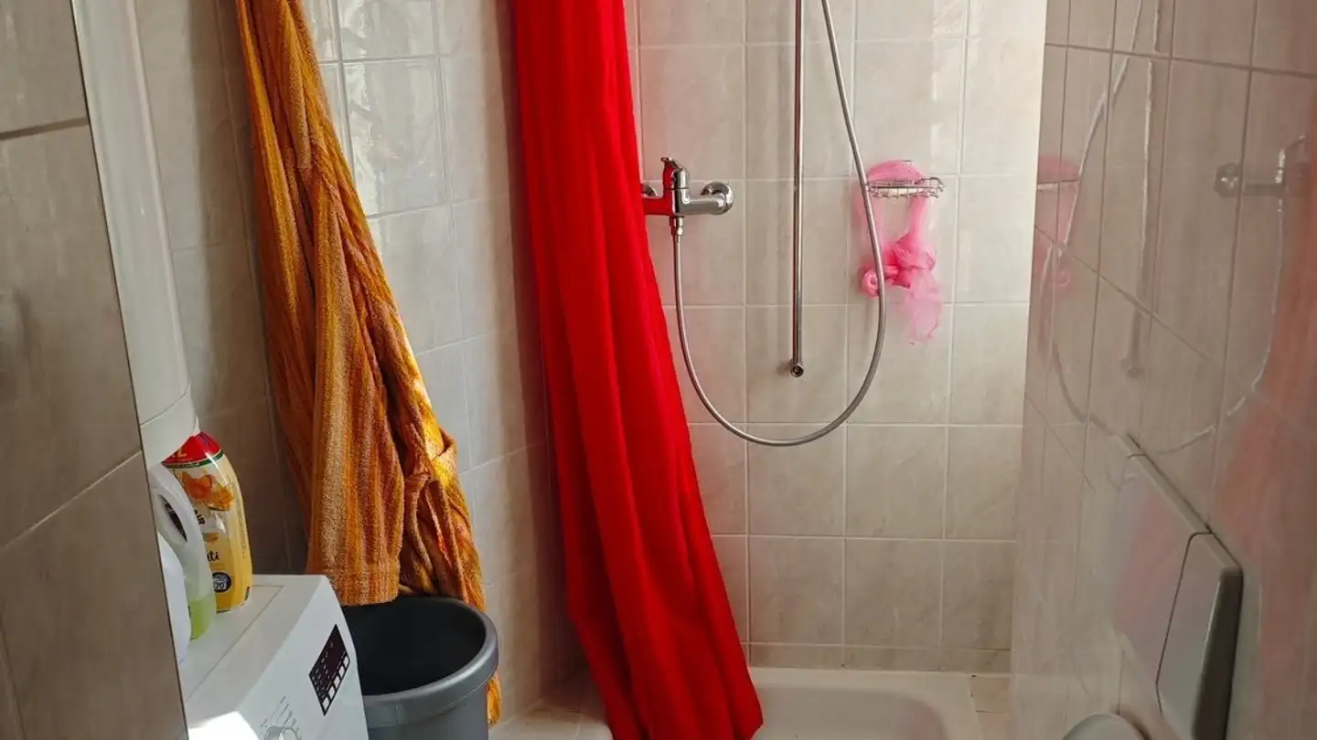 Apartment for rent - Via Ponte Vecchio 16, 6807 Taverne - Photo 4