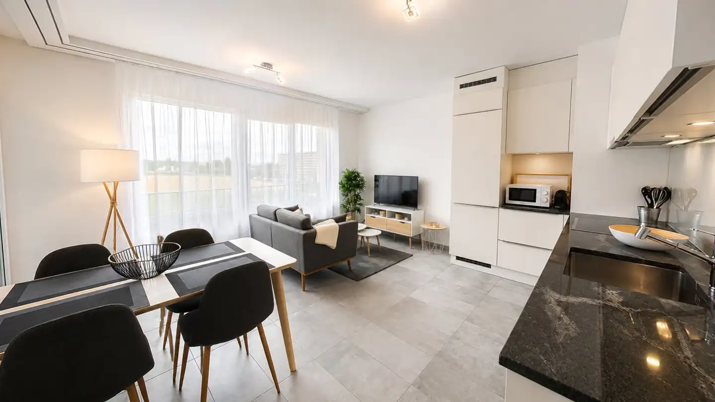 Appartamento in affitto - Chemin Falconnier 43, 1260 Nyon