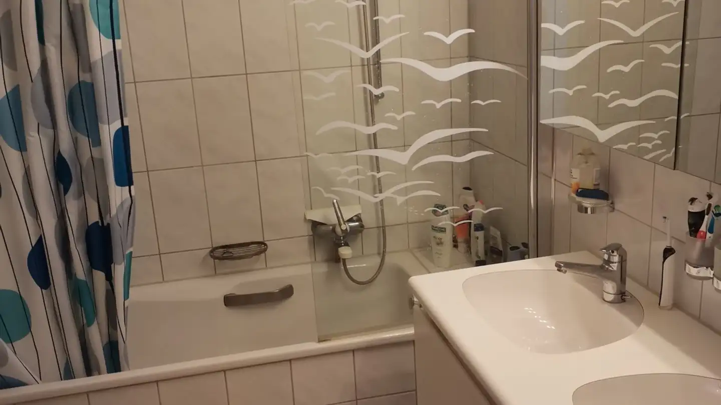 Stanza singola in affitto - Alte Winterthurerstrasse 207, 8309 Nürensdorf - Foto 4