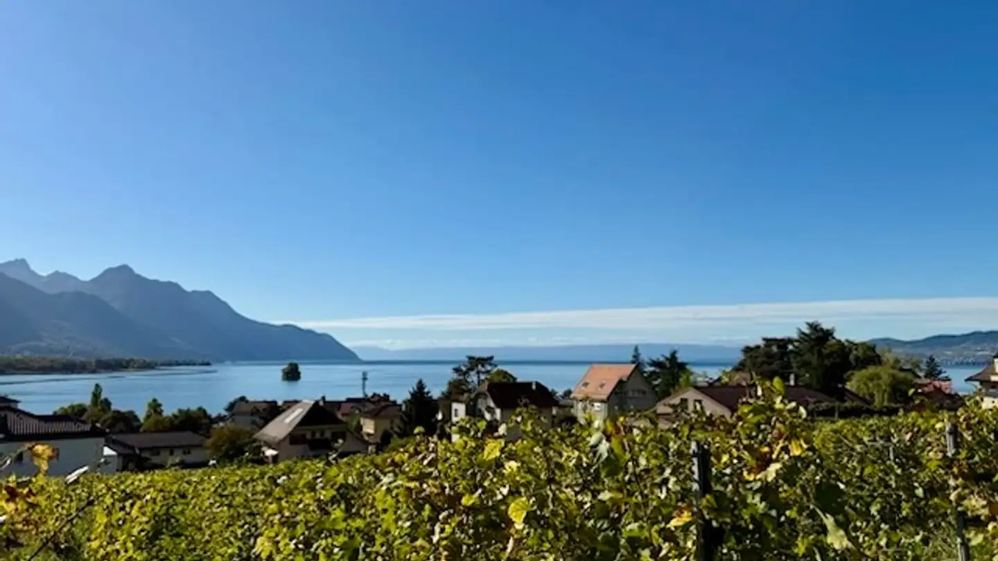 Appartement à vendre - 1844 Villeneuve VD