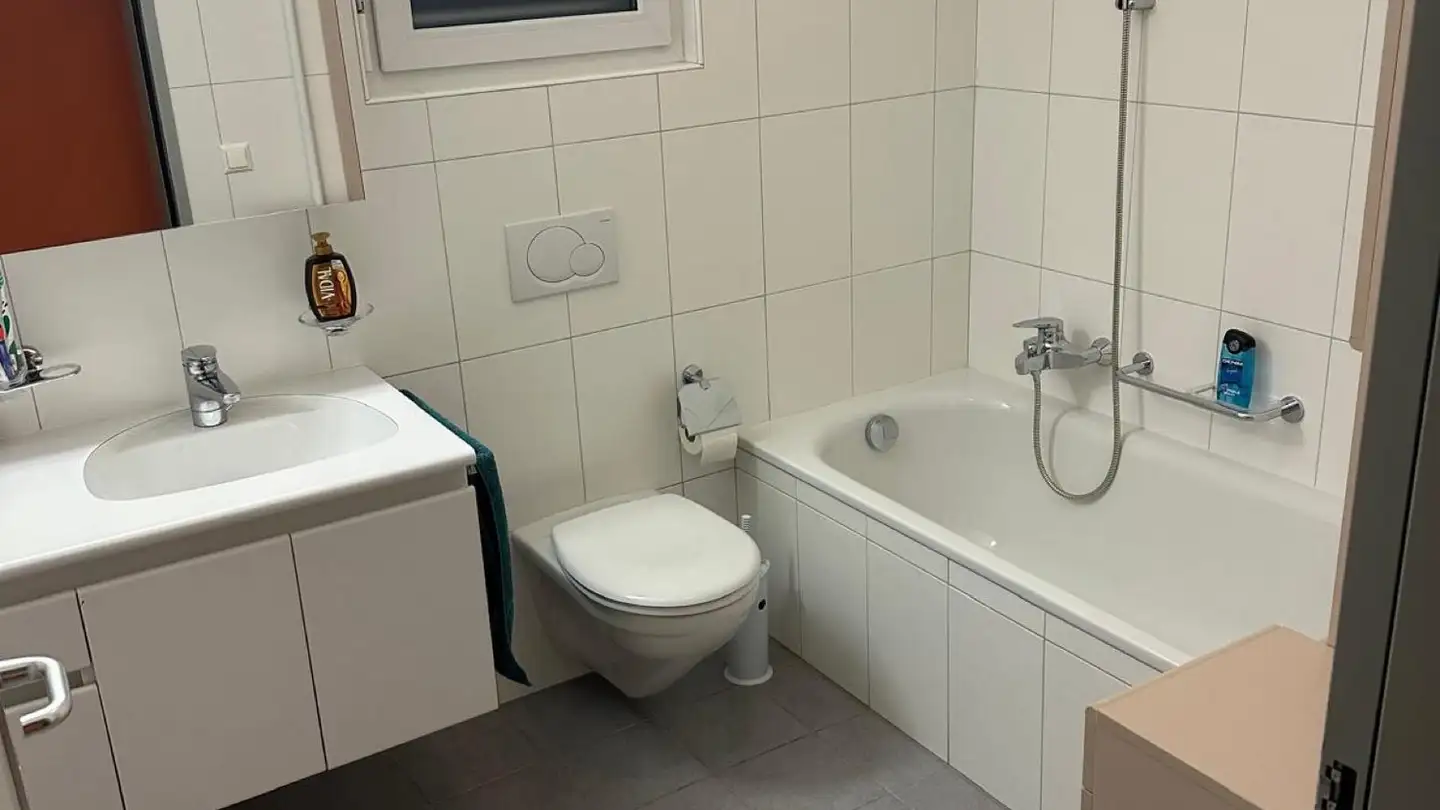 Wohnung mieten - In Arla 11l, 6528 Camorino