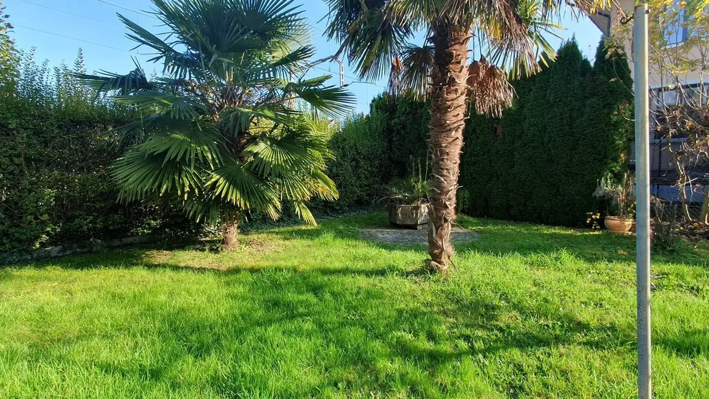 Appartement à louer - Pré-Künzi / Künzi-Matt 8, 2503 Biel/Bienne - Photo 3