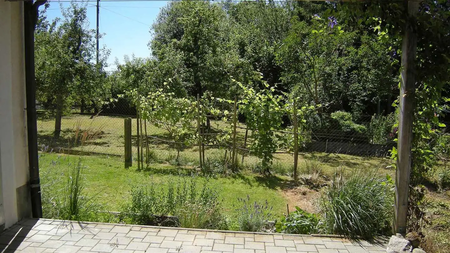 Appartement à louer - Schulstrasse 22, 3256 Dieterswil - Photo 3