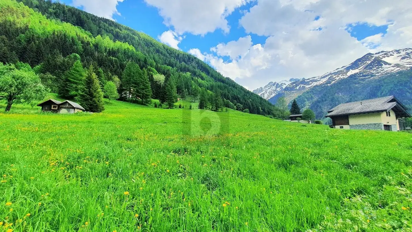 Terrain constructible à vendre - 1929 Trient