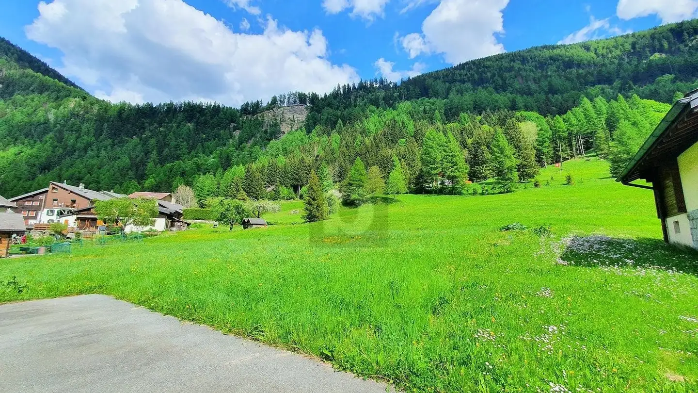 Terrain constructible à vendre - 1929 Trient - Photo 2