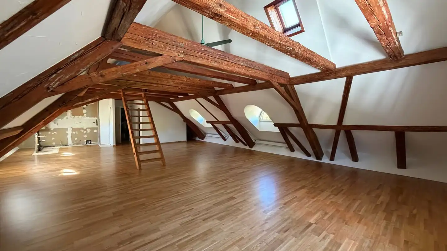 Attic flat for rent - Spinnereistrasse 16, 8135 Langnau am Albis - Photo 2