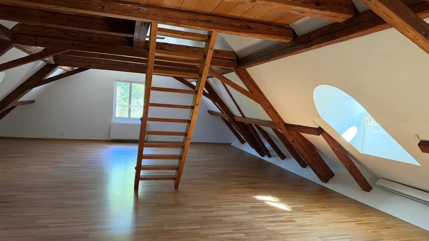 Attic flat for rent - Spinnereistrasse 16, 8135 Langnau am Albis - Photo 4