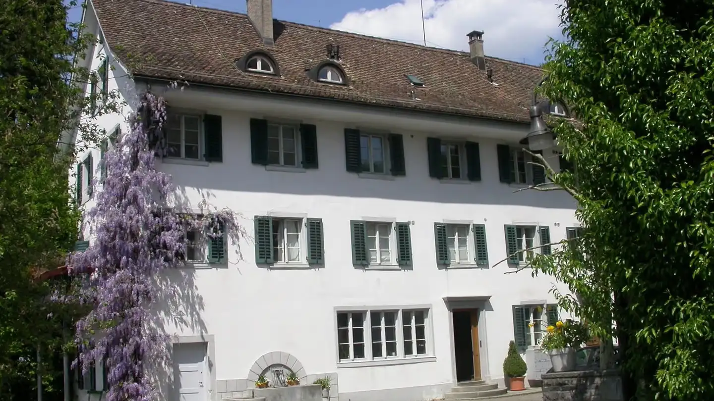 Attic flat for rent - Spinnereistrasse 16, 8135 Langnau am Albis