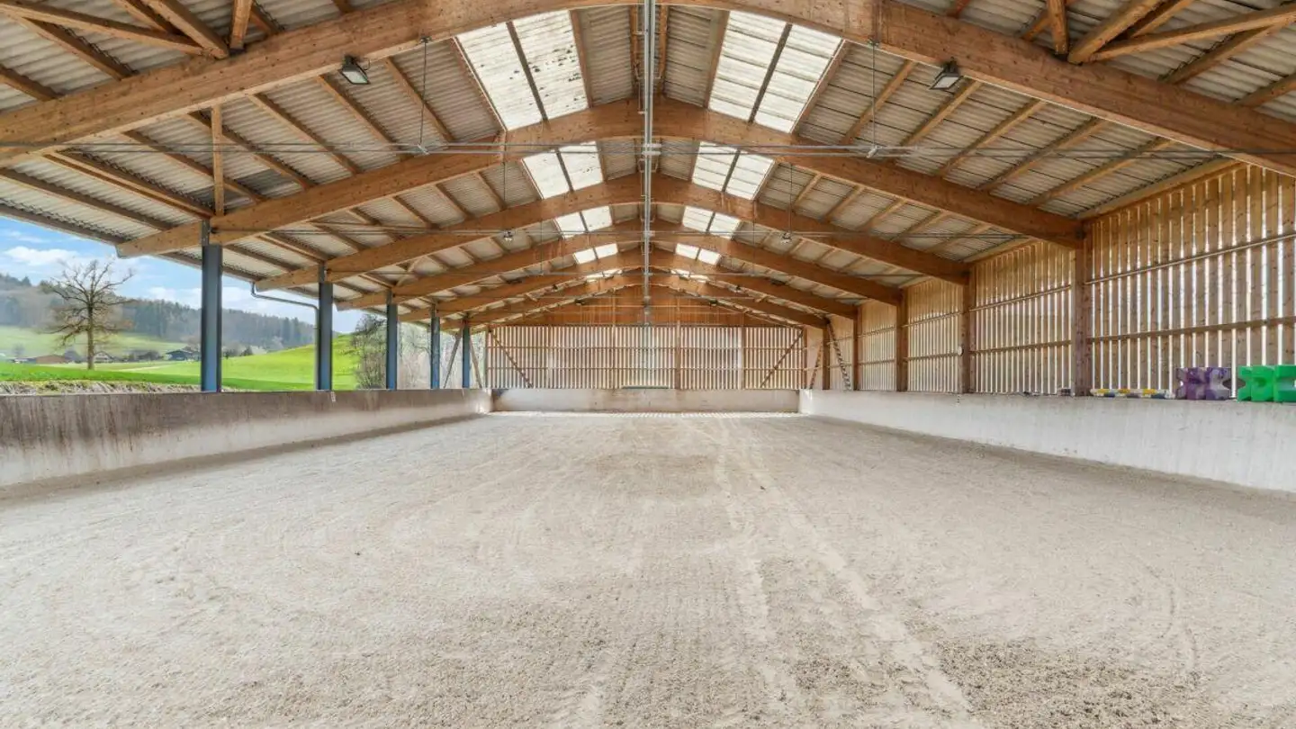 Gewerbe kaufen - Dorfstrasse 50, 3365 Seeberg