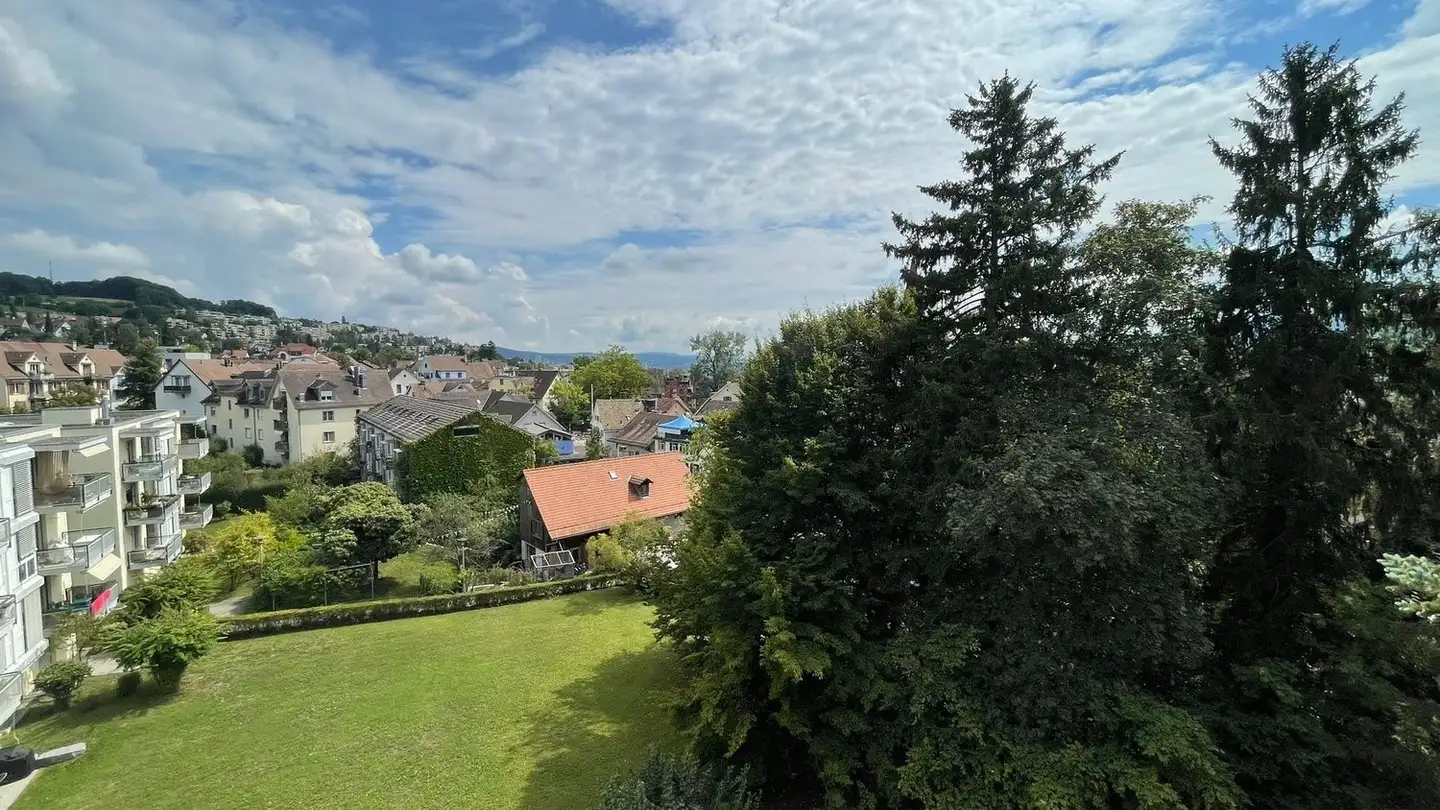 Duplex for rent - Wieslergasse 8, 8049 Zürich - Photo 2