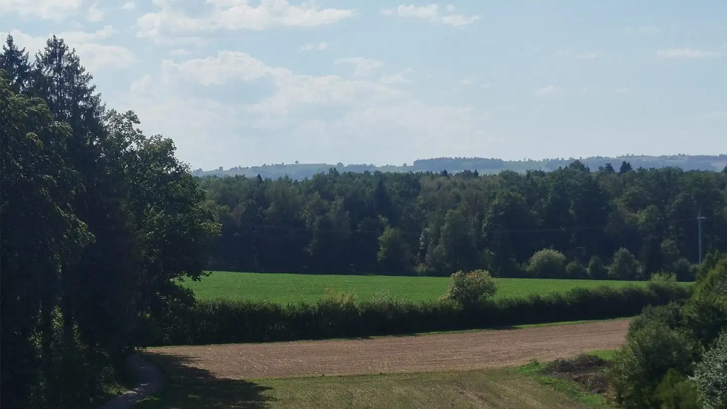 Penthouse mieten - 6026 Rain - Foto 2