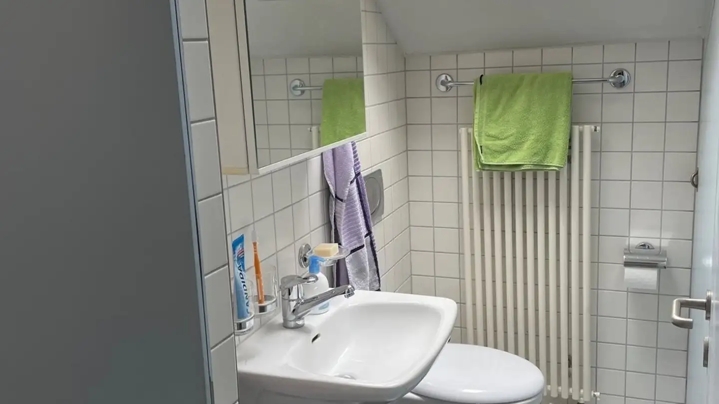 Apartment for rent - Privatstrasse, 5245 Habsburg - Photo 3