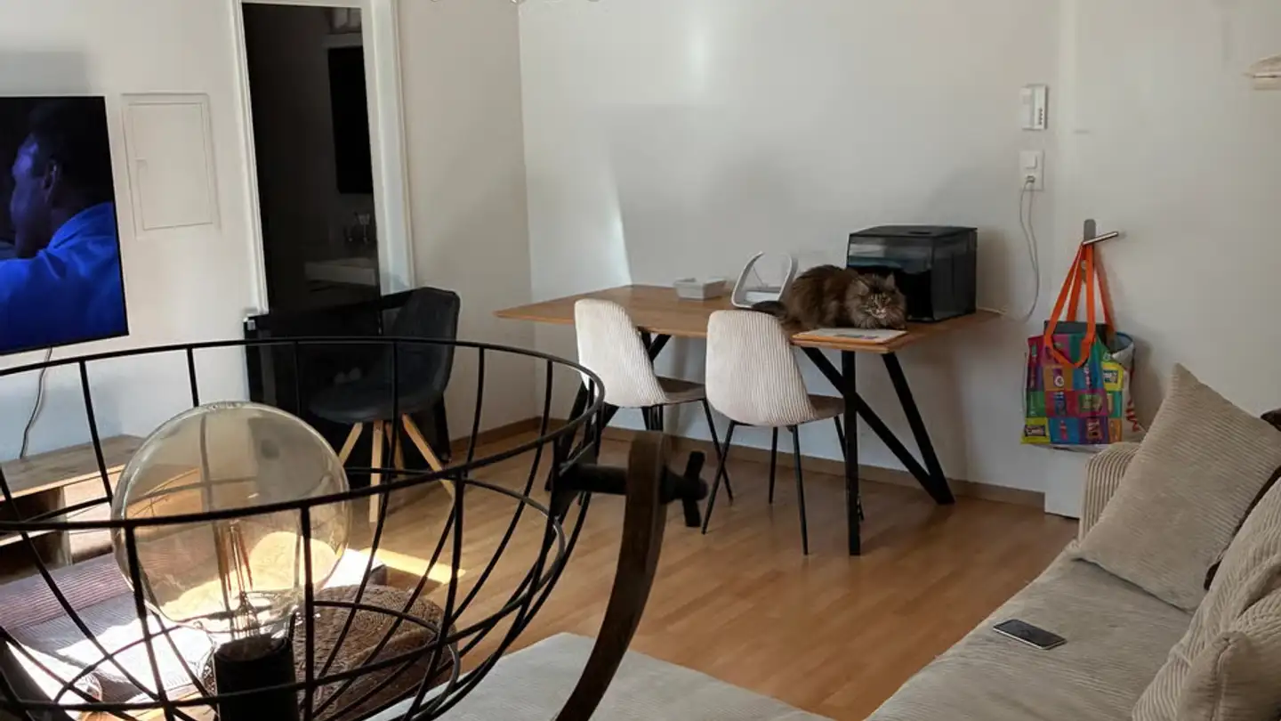 Apartment for rent - Grand-Rue 5, 1890 St-Maurice - Photo 3