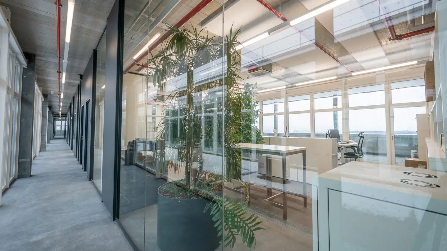 Office space for rent - Eichengasse 3, 4702 Oensingen