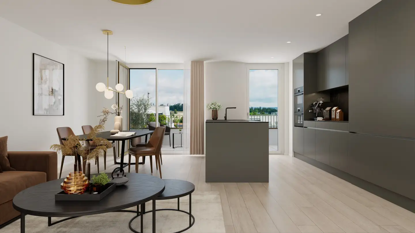 Attico in vendita - Regensbergstrasse 260, 8050 Zürich - Photo 3