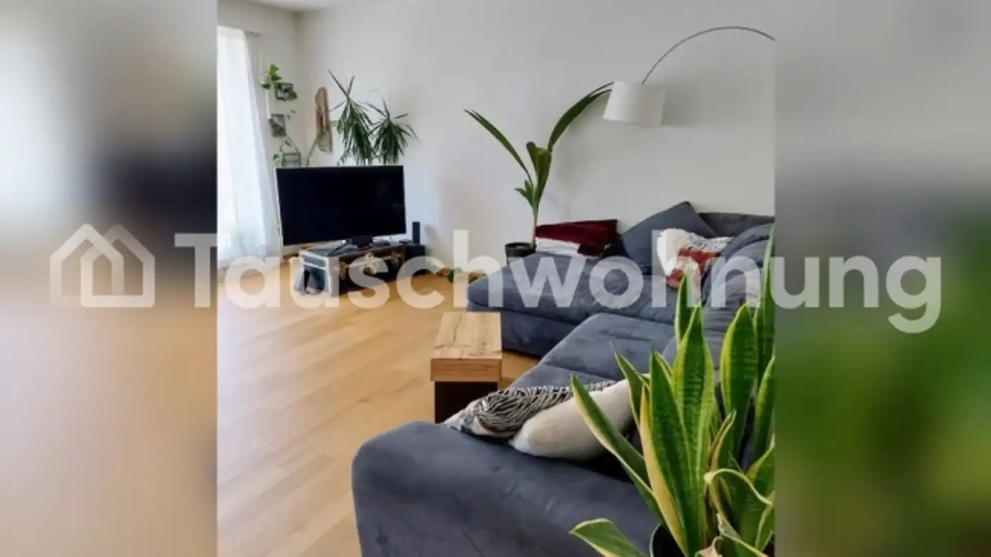 Appartement à louer - 8047 Zürich