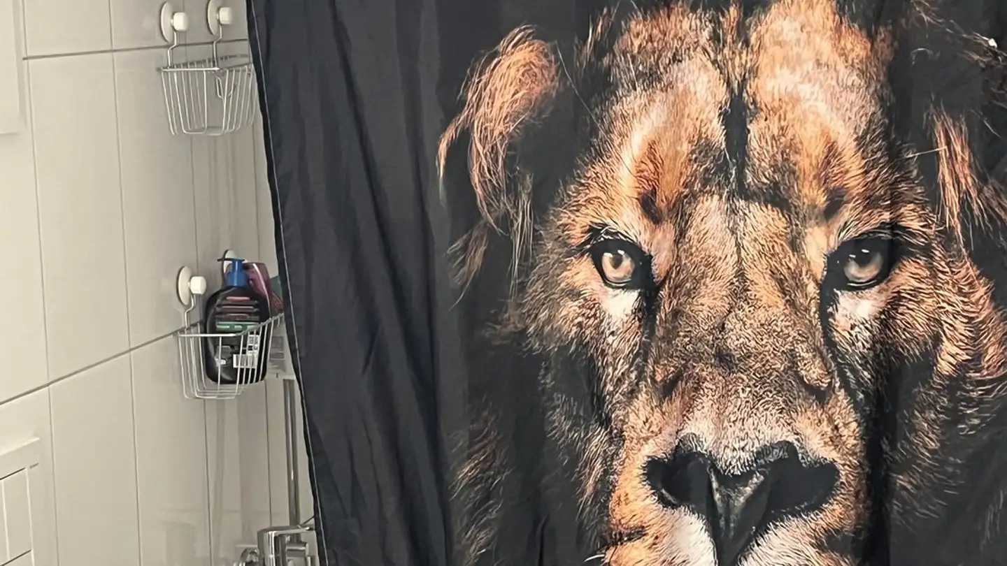 Apartment for rent - Seestrasse 125, 8707 Uetikon am See - Photo 3