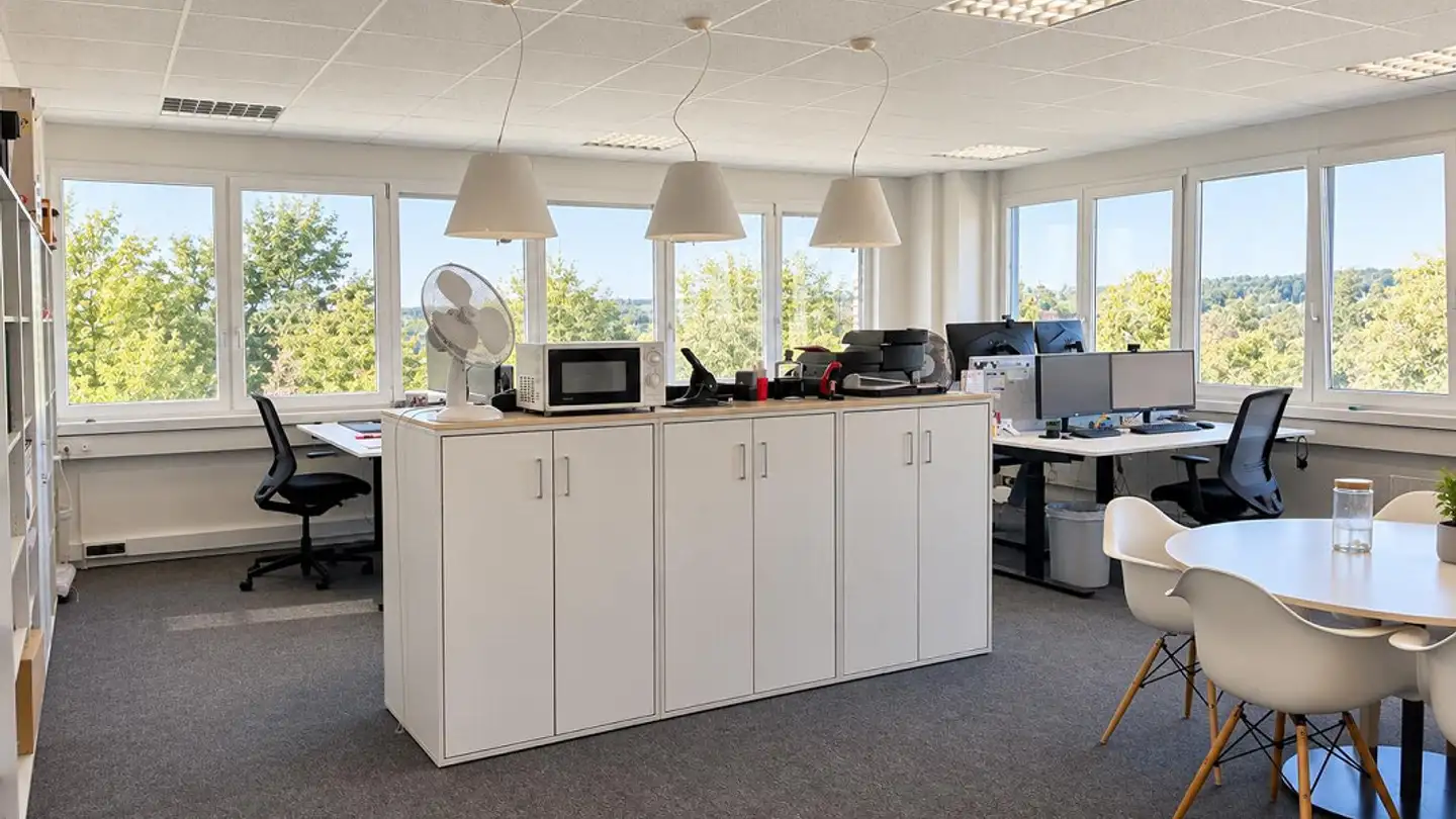 Commercial for sale - Hungerbüelstrasse 17, 8500 Frauenfeld - Photo 4