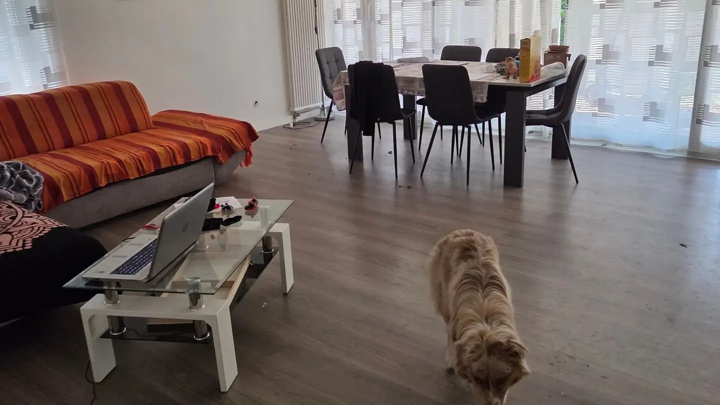 Appartement à louer - Stradón 59, 6653 Verscio - Photo 2