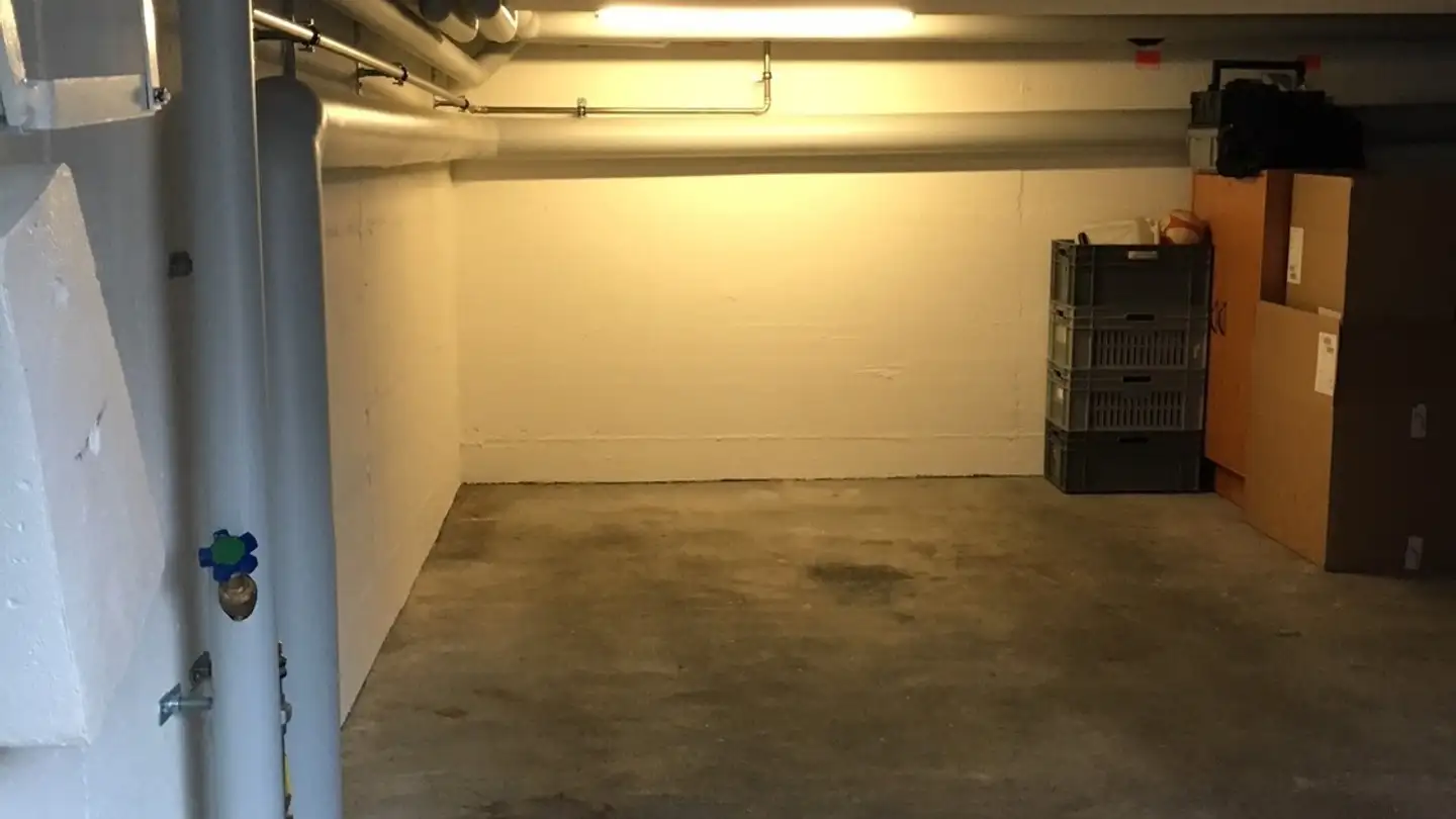 Single garage for rent - Alte Landstrasse 121c, 8800 Thalwil - Photo 3