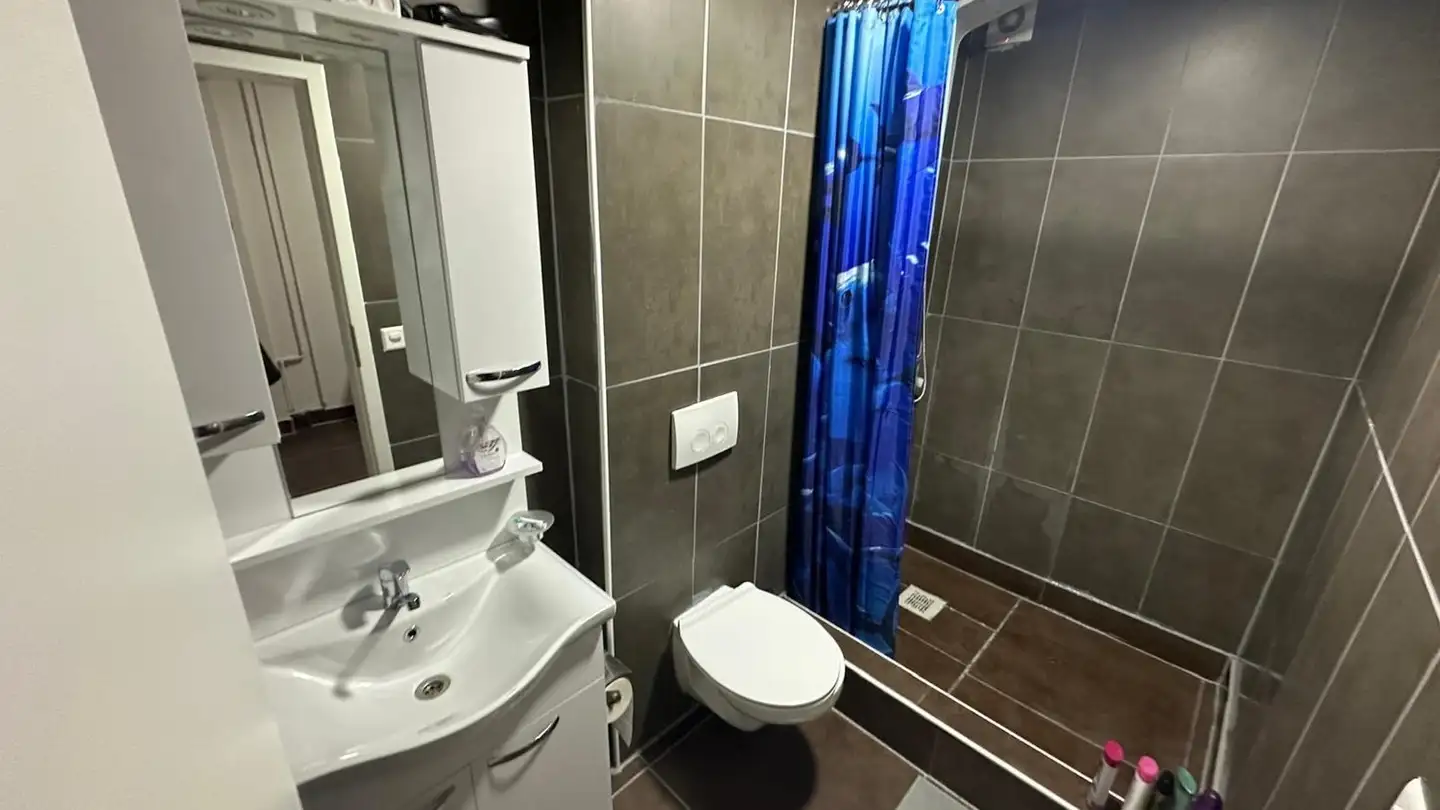 Appartamento in affitto - Breitenau-Weg 25, 9655 Stein SG - Photo 2