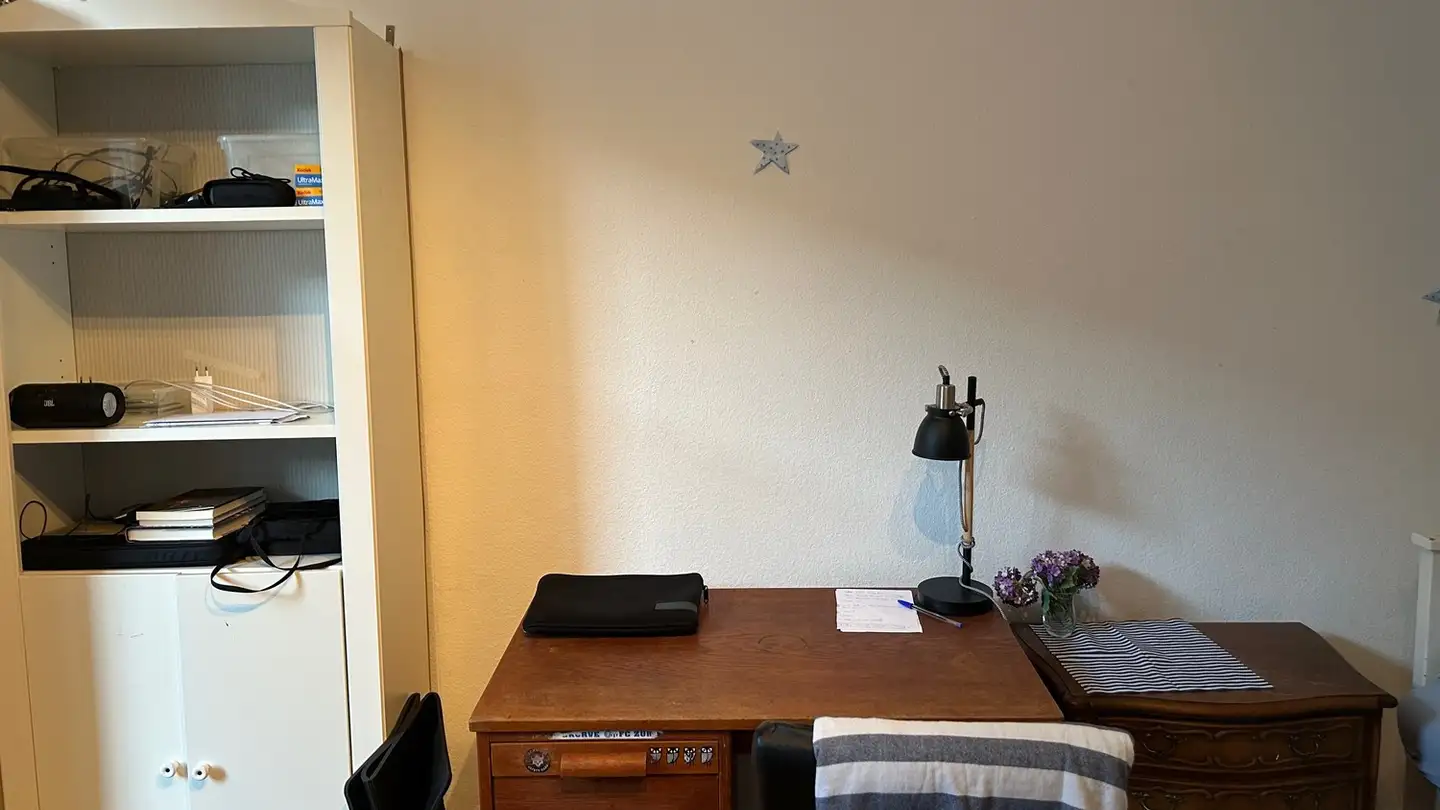 Single room for rent - Merkurstrasse 54, 8032 Zürich - Photo 3