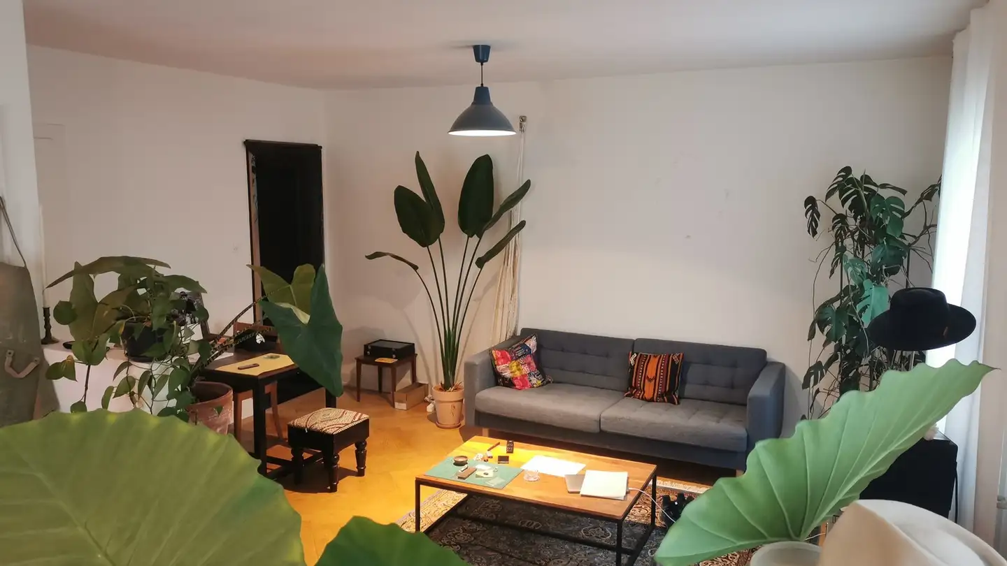 Stanza singola in affitto - Tösstalstrasse 83, 8400 Winterthur
