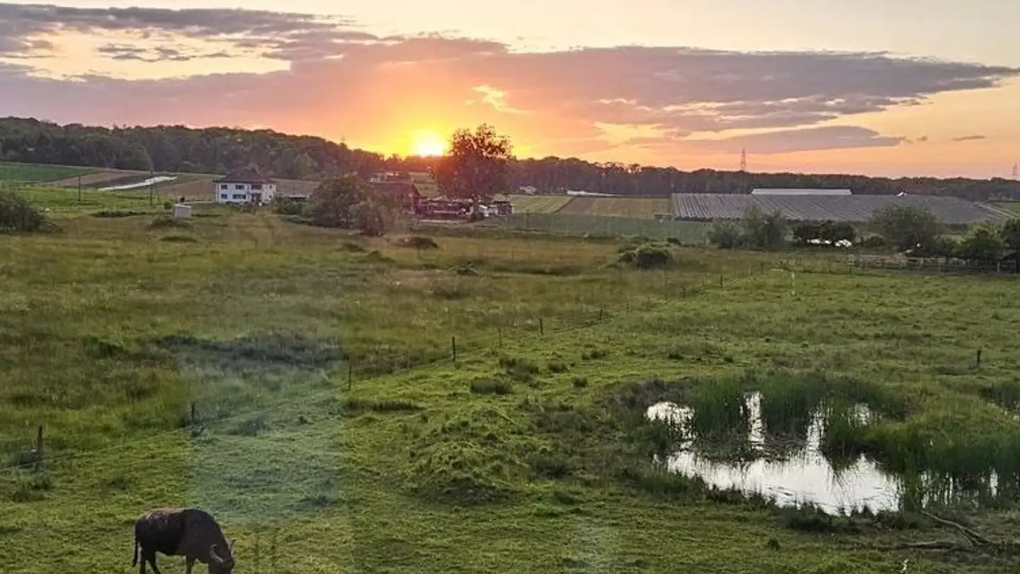 Wohnung mieten - Hohestrasse 156, 4104 Oberwil BL - Foto 2