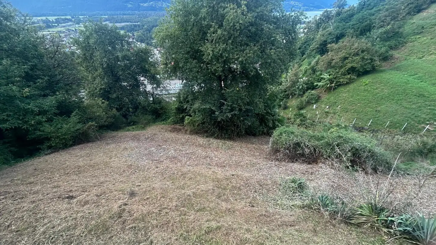 Terrain constructible à vendre - 6596 Gordola