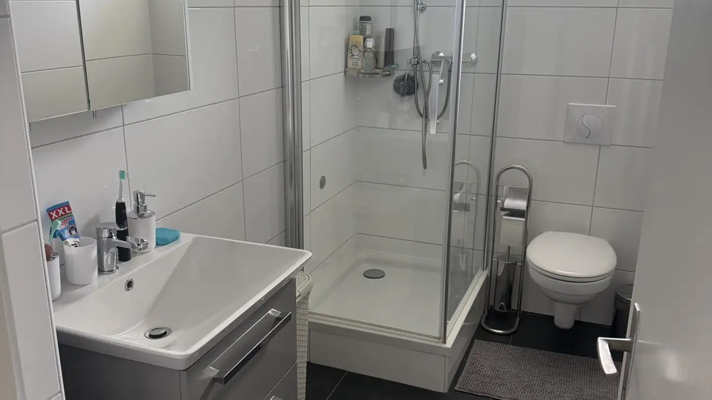Wohnung mieten - Schlattingerstrasse 26, 8253 Diessenhofen - Foto 4