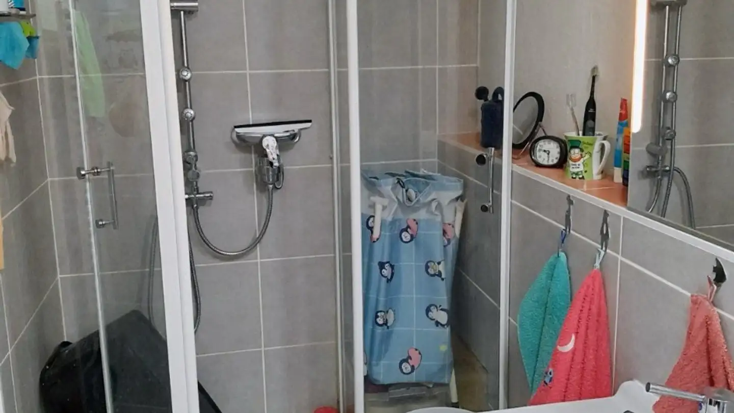 Appartamento in affitto - 1076 Ferlens VD - Foto 2