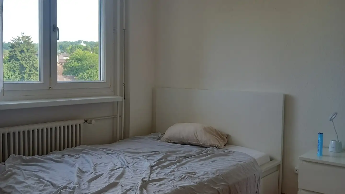 Appartamento in affitto - Schauenbergstrasse 4, 8046 Zürich