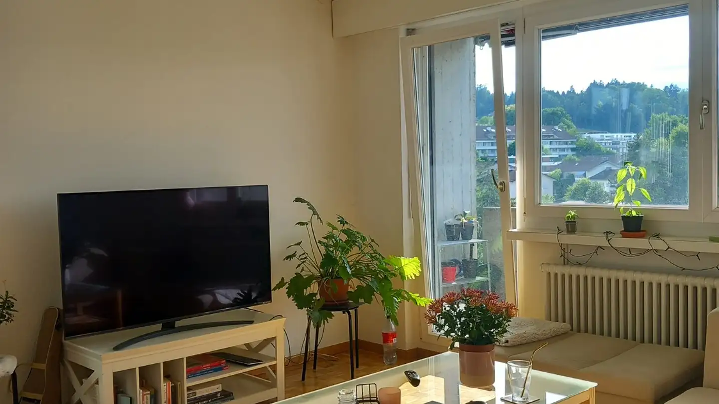 Appartamento in affitto - Schauenbergstrasse 4, 8046 Zürich - Foto 4