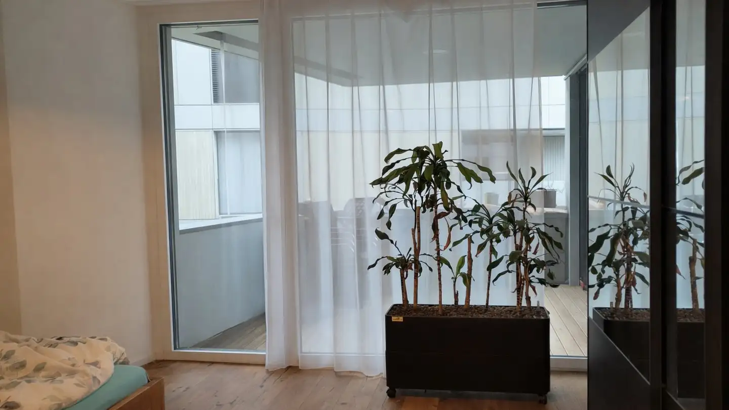 Wohnung mieten - Wilemattstrasse 11, 6210 Sursee - Foto 3