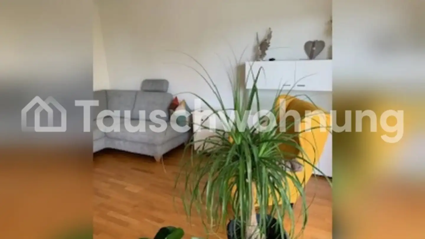 Appartamento in affitto - 8125 Zollikerberg