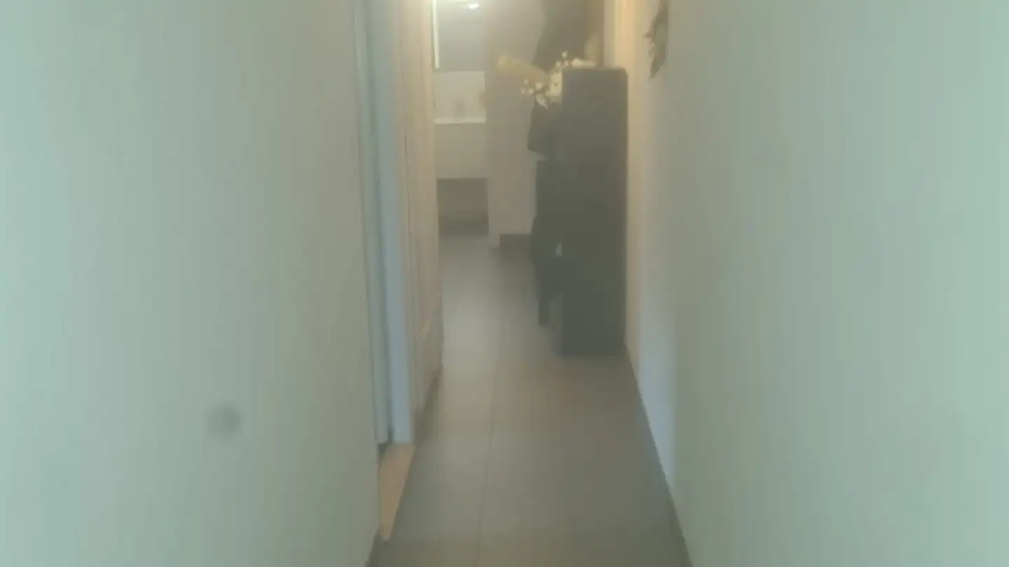 Wohnung mieten - 1214 Vernier