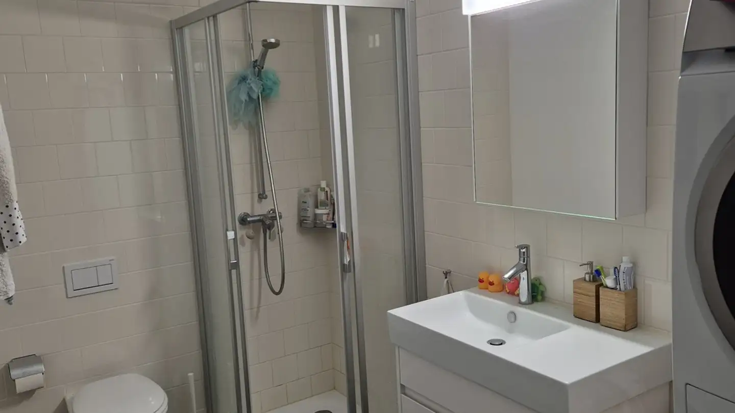 Wohnung mieten - Altwiesenstrasse 284, 8051 Zürich - Foto 4