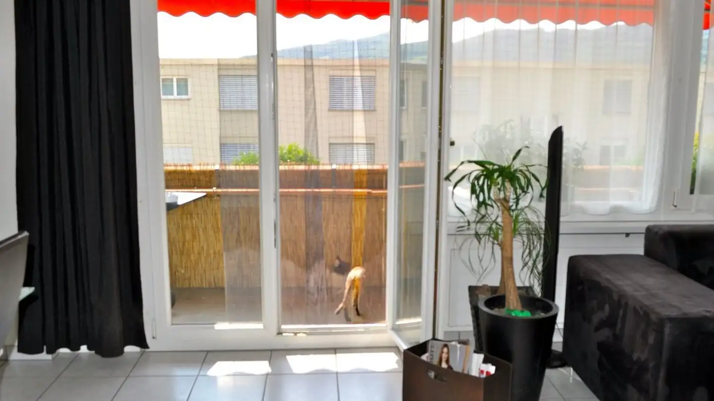 Appartamento in affitto - Scherzerstrasse 7, 5116 Schinznach Bad - Photo 3