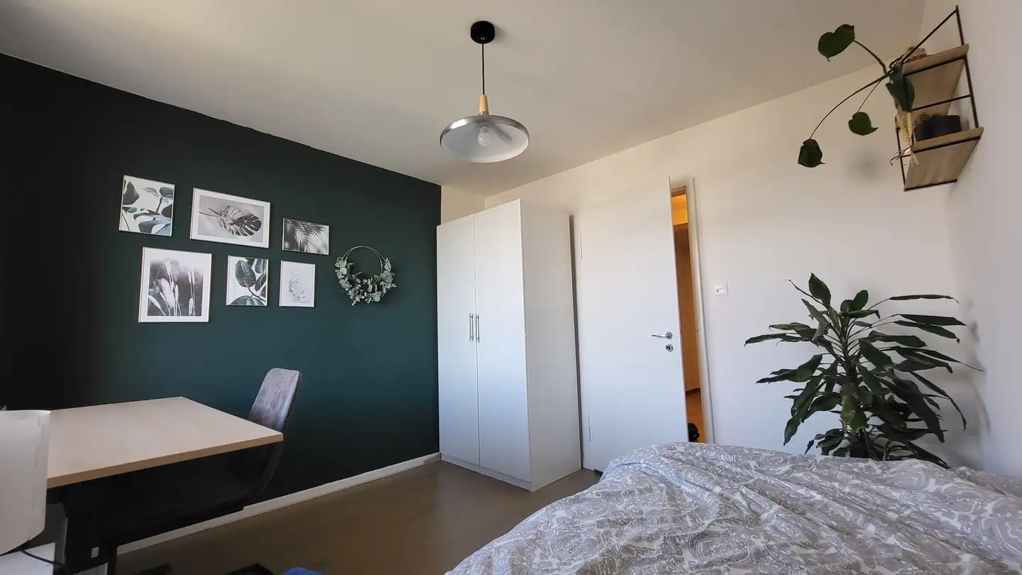 Chambre à louer - 8004 Zürich - Photo 2