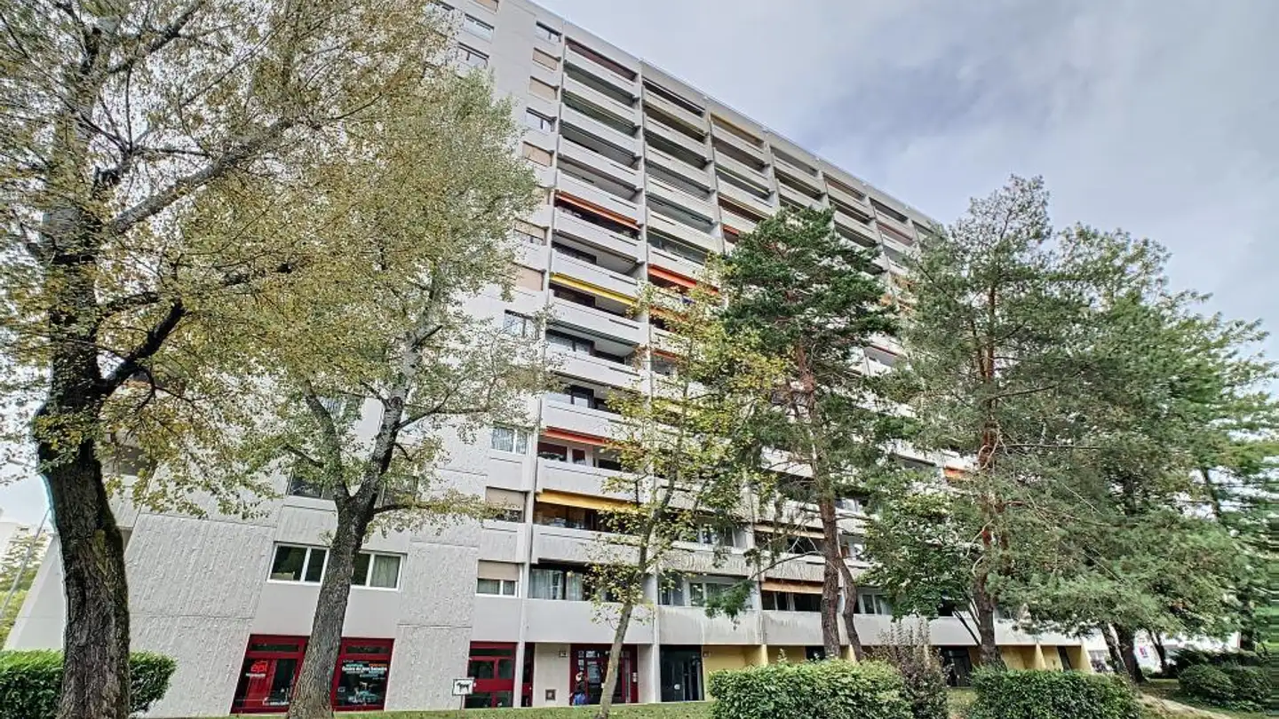 Appartement à louer - Avenue Ernest- Pictet 14, 1203 Genève